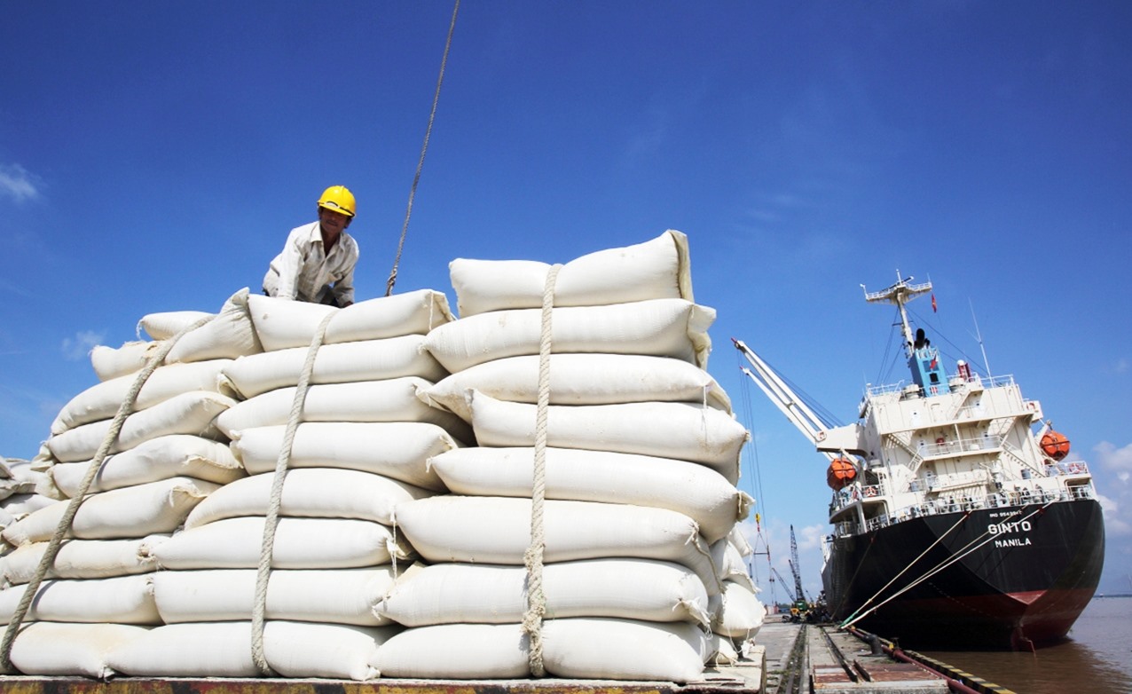 Giá gạo Việt Nam tăng trở lại