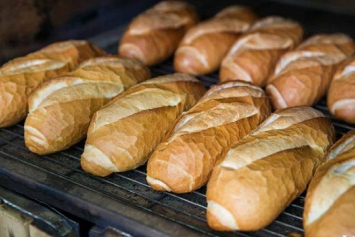 Bánh mì là thực phẩm nên ăn khi say xe