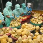 Xuất siêu nông sản Việt Nam giảm mạnh trong những tháng đầu năm