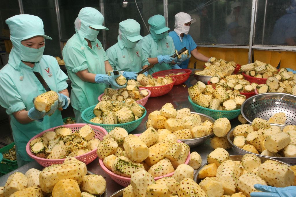 Xuất siêu nông sản Việt Nam giảm mạnh trong những tháng đầu năm